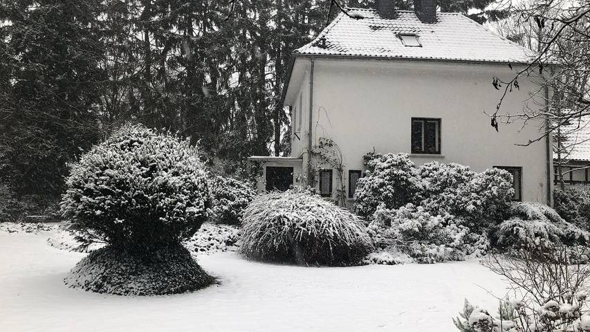 Ferienhaus für 4 Personen, mit Garten in Serengeti Park (Hodenhagen) - 3