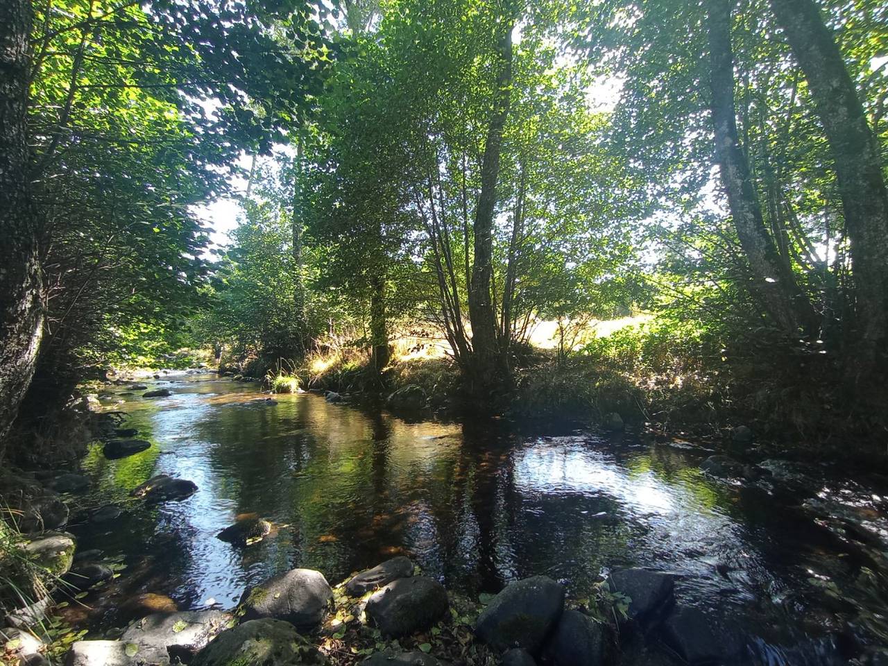 Le Moulin de la Chauderie Basse - Chambre in La Tour-d'Auvergne, Parc naturel régional des Volcans d'Auvergne