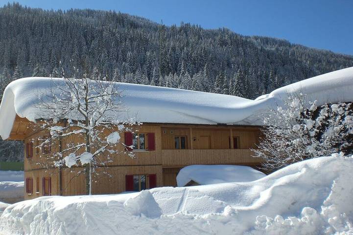 Ferienhaus für 4 Personen, mit Sauna und Garten in Dalaas