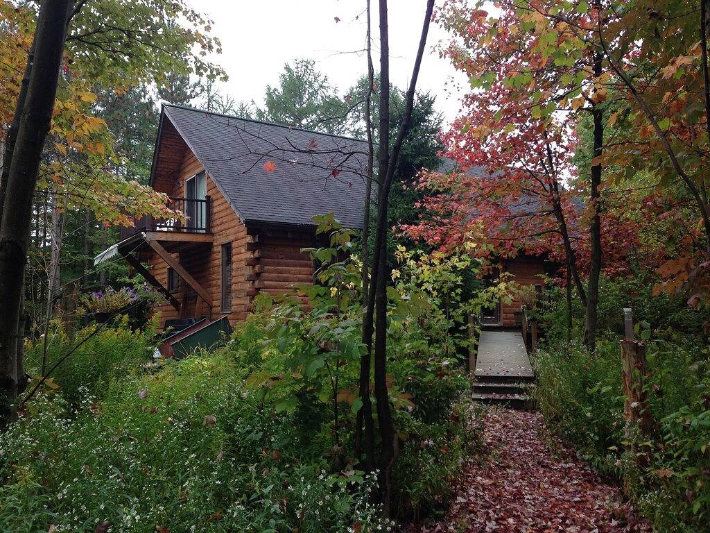 Blockhaus im Wald in Wyoming County