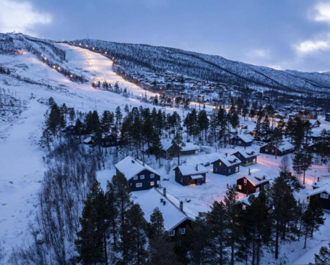 Ski and Bike in out Geilo Family Cabin Vestlia, 4Br, 2Bath, 2Wc, Sauna, Free Wifi & Parking, Geilo Sommerpark & Beach, Walk to shops & train Oslo bergen in Geilo, Hol