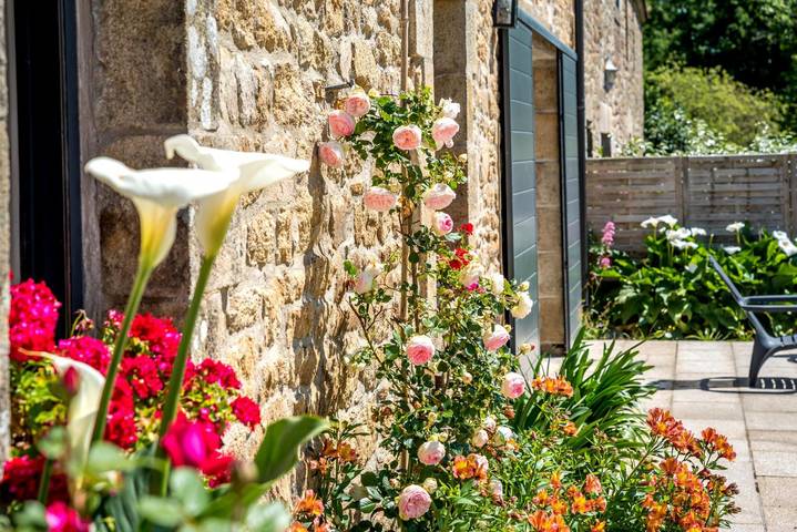 Gîte pour 6 personnes, avec terrasse et jardin, animaux acceptés - 1