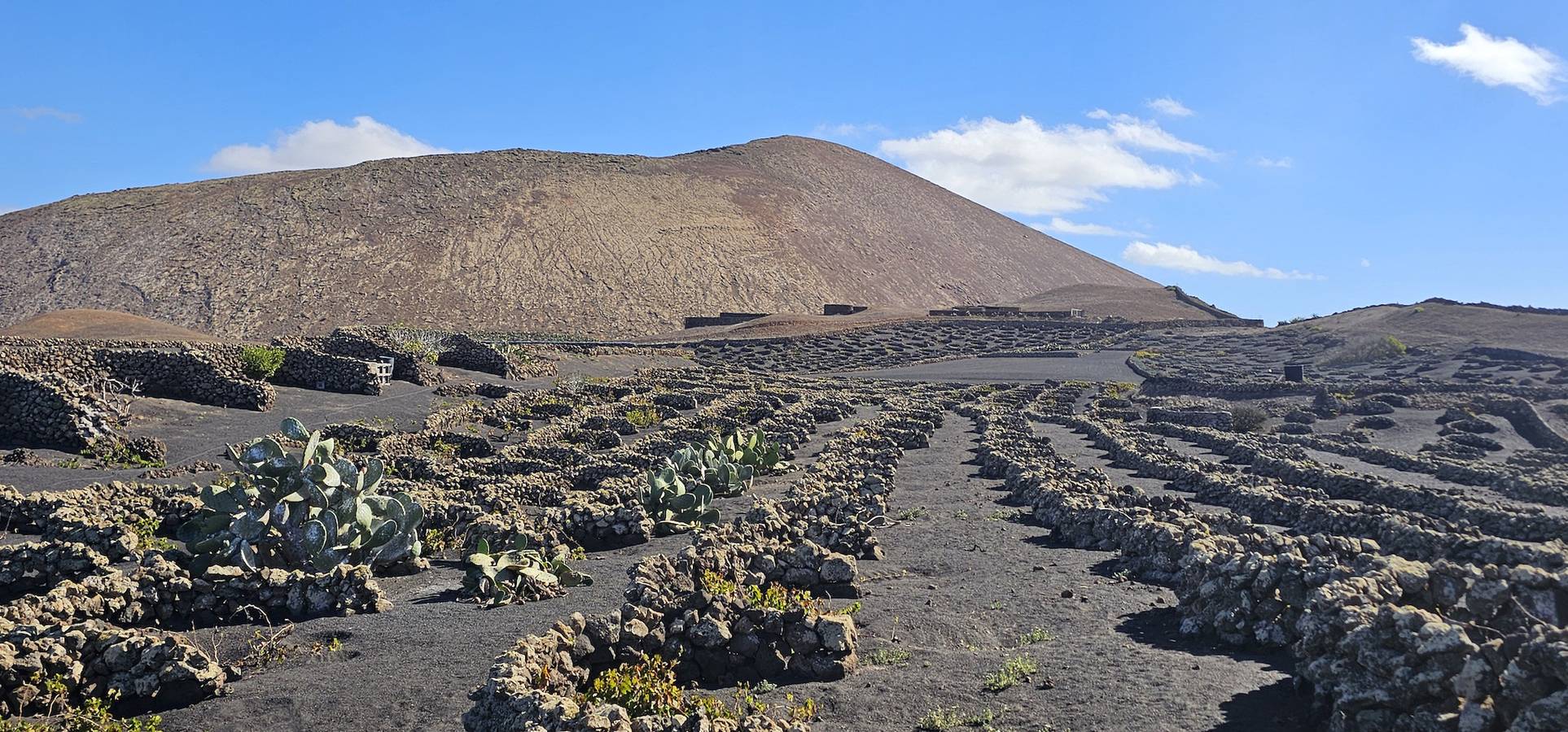 Casa Mica Rural in Conil, Tías