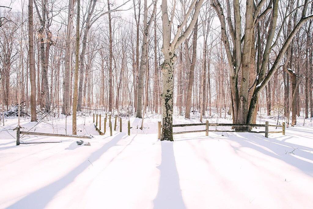 The Cozy Cottage in Elkhart County