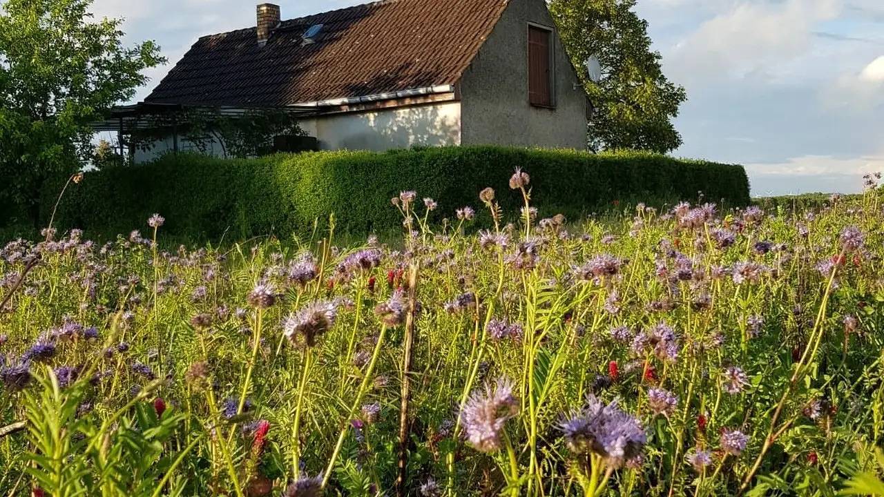 Ferienhaus für 2 Personen (45 m²) in Gransee in Schönermark, Ruppiner Seenland