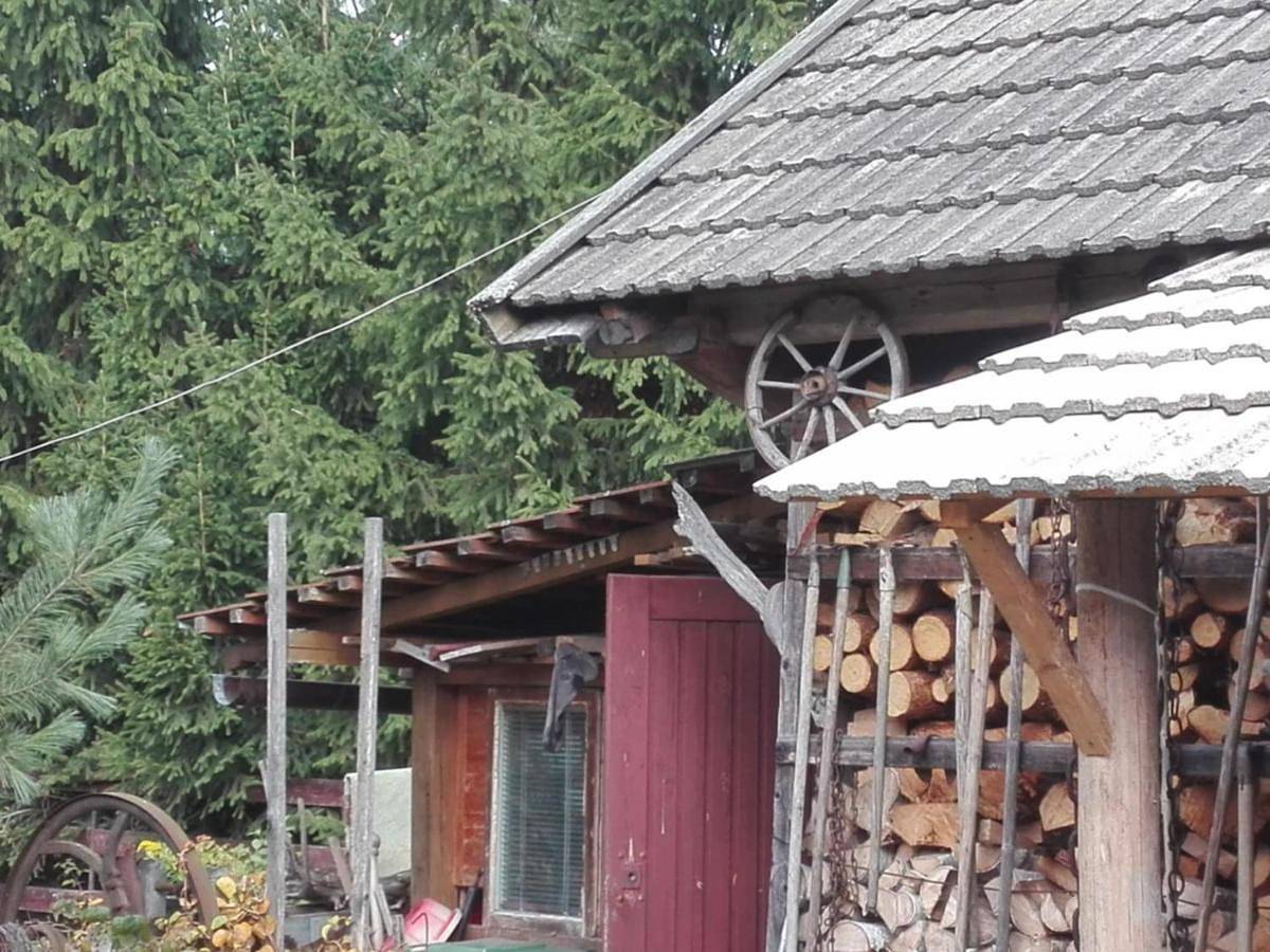 Chata Spokoju pod Gwiazdami in Białowieski Park Narodowy