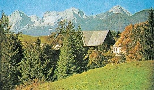 Ferienhaus für 7 Personen, mit Balkon und Garten, kinderfreundlich in Oberösterreich - 3