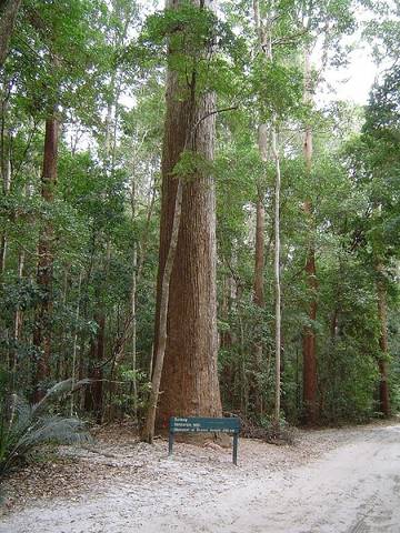 Holiday Home for 6 People in Fraser Coast, Photo 3