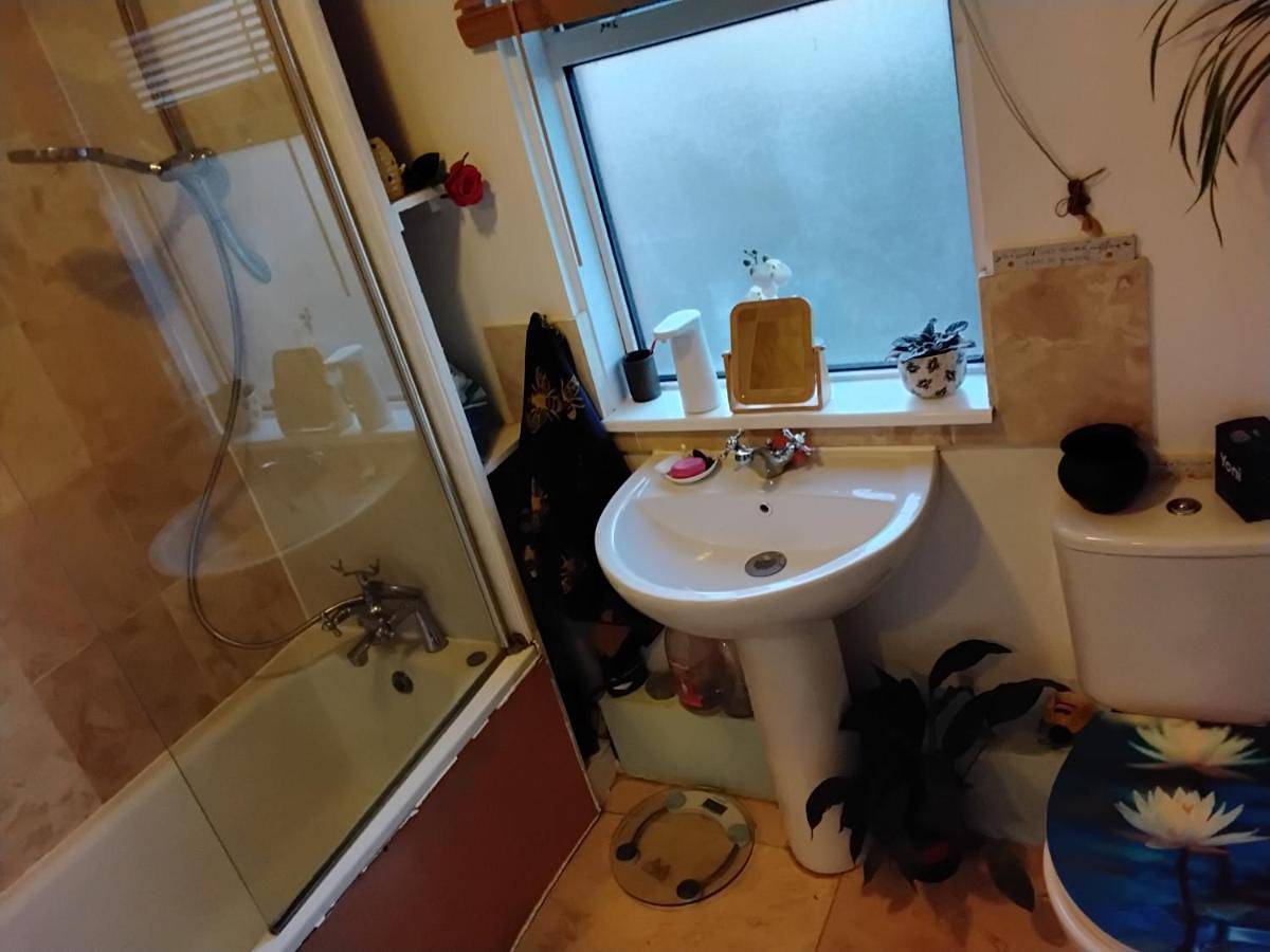 Single Room in Glastonbury, Somerset