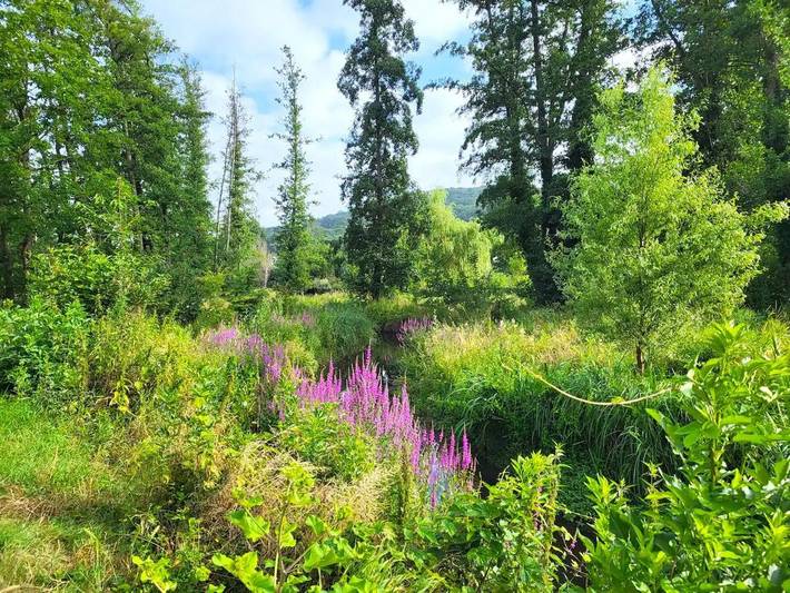 Gîte pour 4 personnes à Verrières-le-Buisson - 3