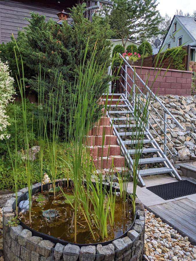 Ferienhaus für 5 Personen, mit Balkon und Terrasse sowie Garten und Ausblick in Sehmatal - 3