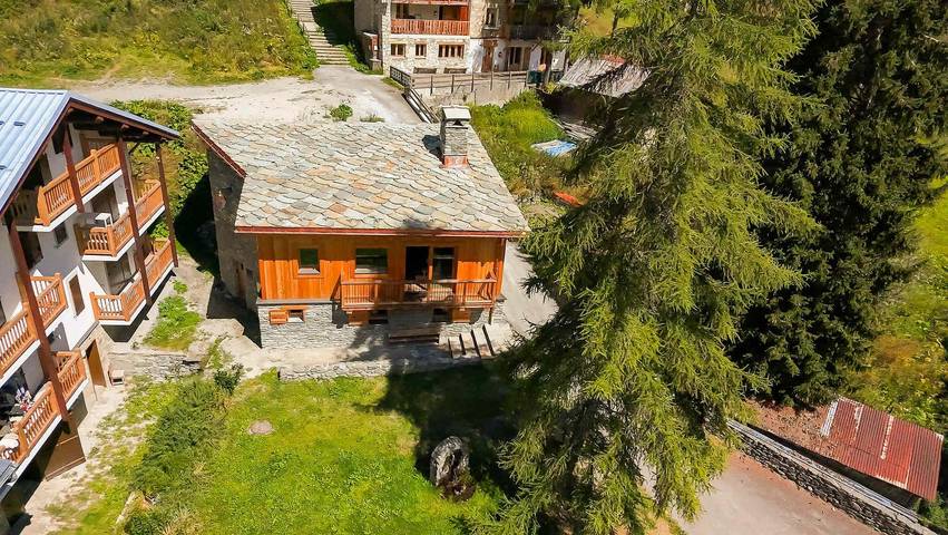 Chalet voor 12 personen, met uitzicht en terras - 1