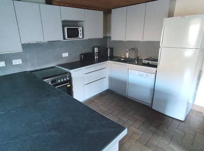 Gîte pour 14 personnes, avec terrasse et jardin, animaux acceptés dans Lac de Génos-Loudenvielle - 3