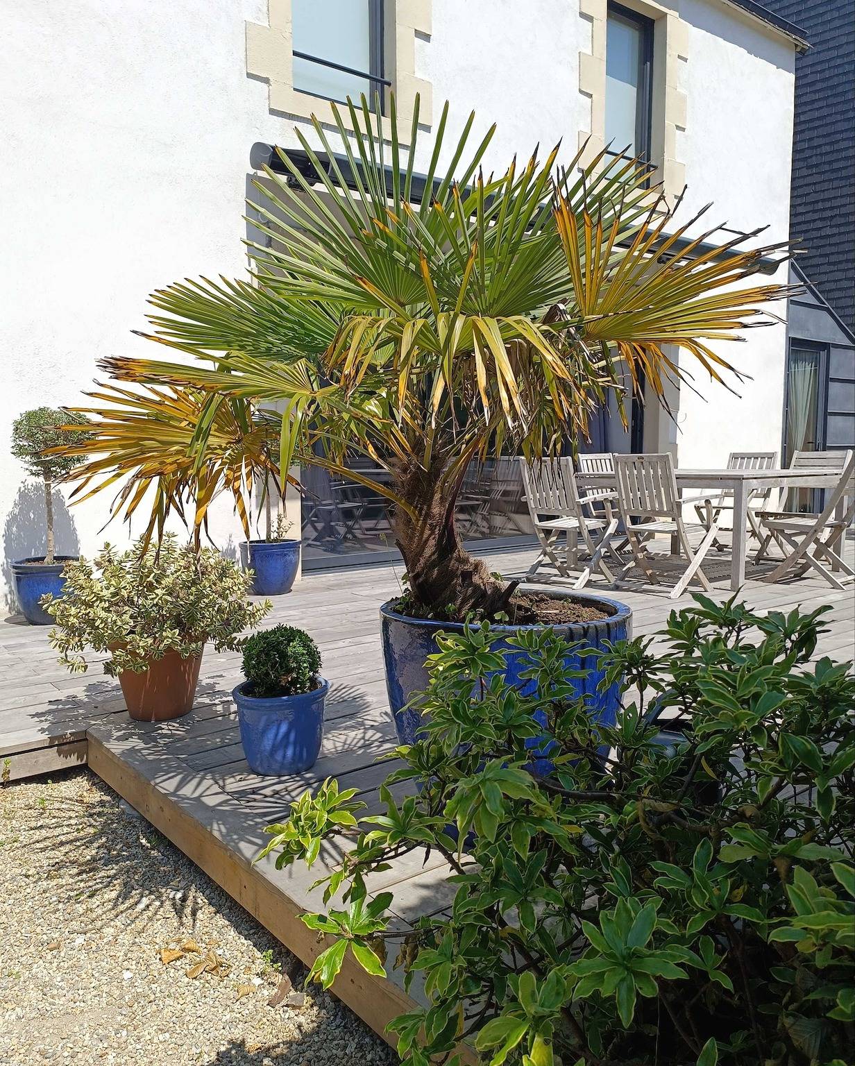 Derrière la charmille in Combrit, Côte de Cornouaille