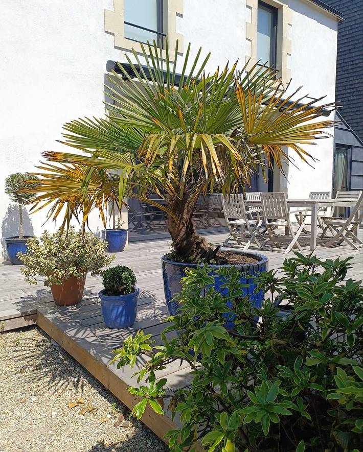 Derrière la charmille in Combrit, Côte de Cornouaille