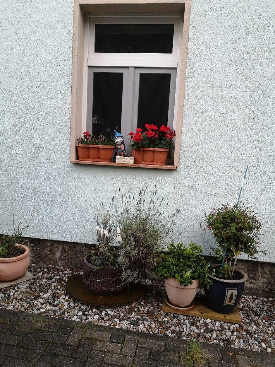 Apartamento vacacional entero, Ferienwohnung in Brandis, Región de Leipzig