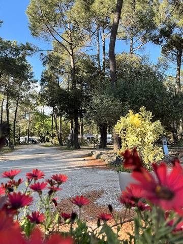 Mobilny Dom dla 2 osoby w Bollène, Prowansja, Zdjęcie 1