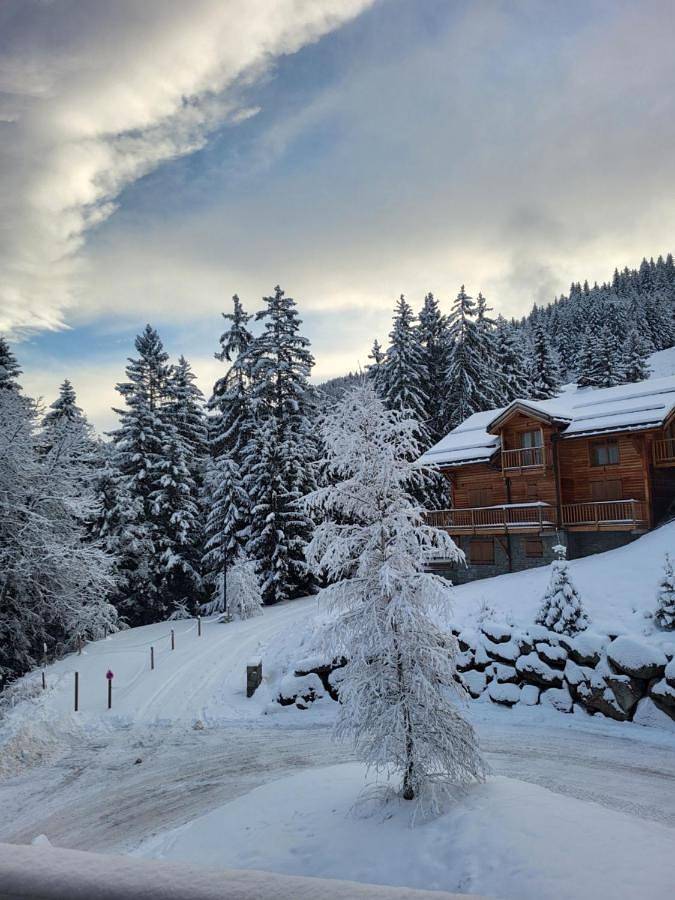 Chalet in La Tania, La Perrière