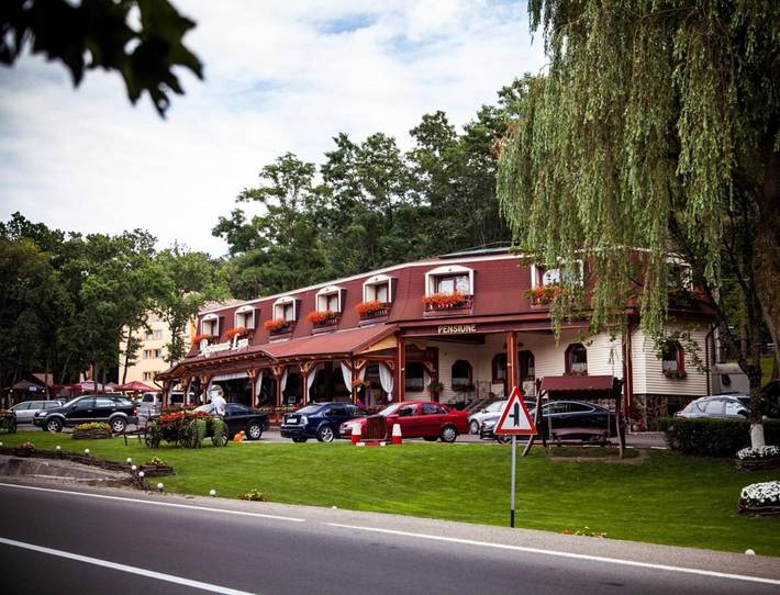 Maison d’hôte pour 2 personnes, avec vue et jardin dans Mureș