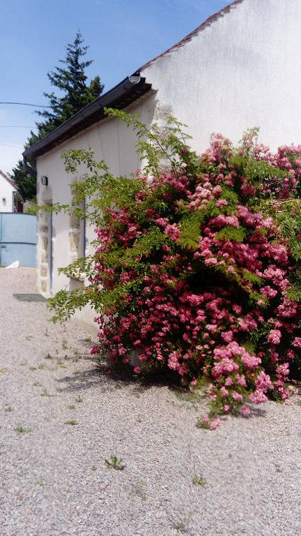 Gîte de Marcureau in Louchy-Montfand, Allier