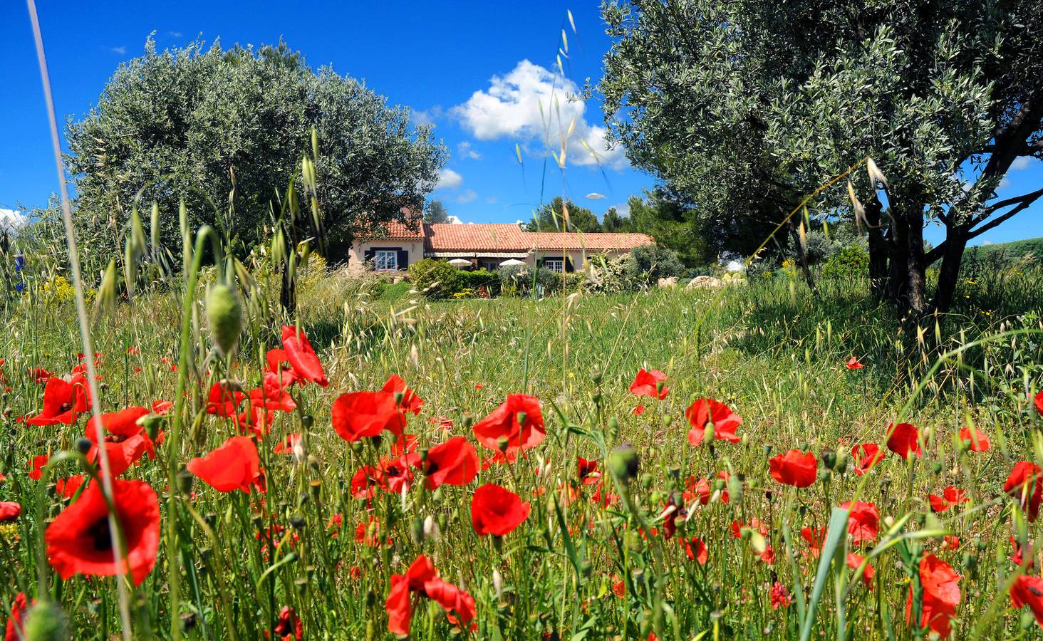 Gîte pour 4 personnes avec sauna in Flayosc, Région de Draguignan