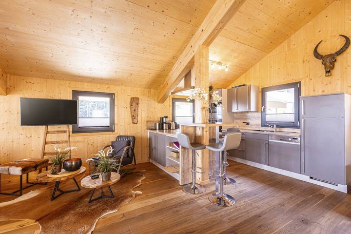 Ferienhaus für 10 Personen, mit Terrasse und Sauna in Schladming-Dachstein