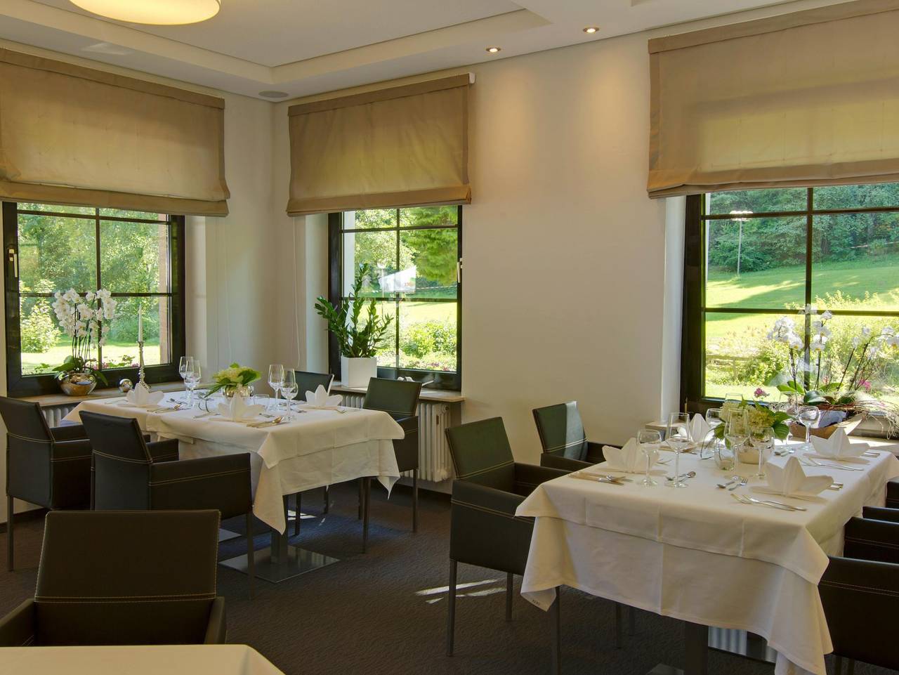 Hotel Pfälzer Wald - Einzelzimmer Basic in Bad Bergzabern, Südliche Weinstraße