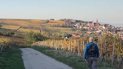 Ferienwohnung für 6 Personen in Oppenheim, Rheinhessen, Bild 4