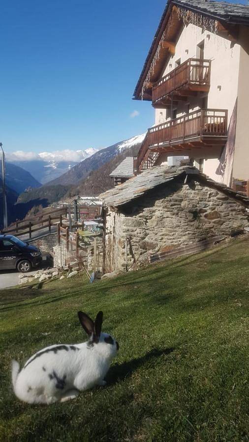 Location de vacances pour 2 personnes, avec jardin et vue, animaux acceptés à Bionaz - 2