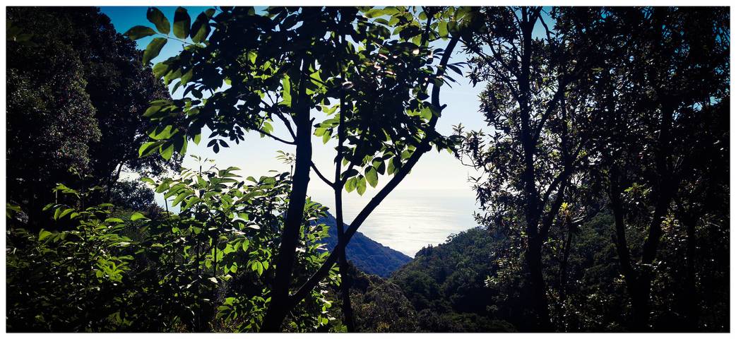 Cottage for 2 people, with Ocean view and Garden in Corsica