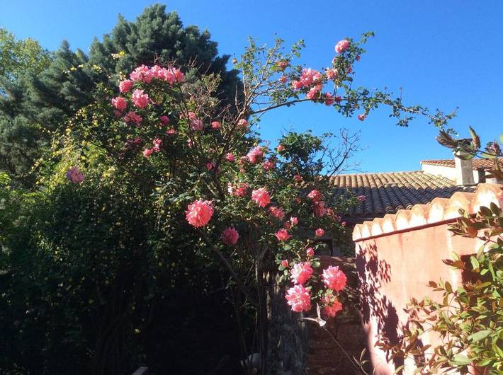 Gîte pour 2 personnes, avec vue et terrasse à Collobrières - 4