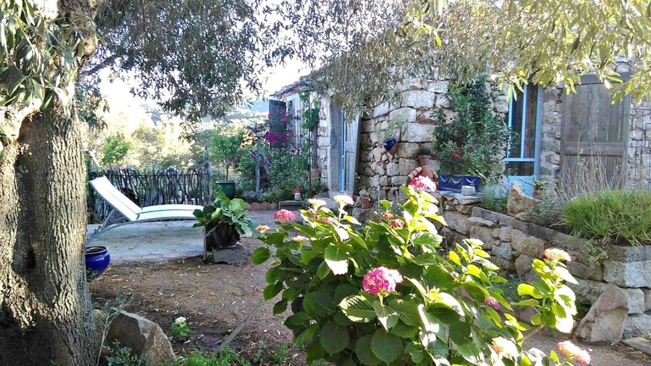 Double or Twin Room with Terrace in Olbia, Gallura