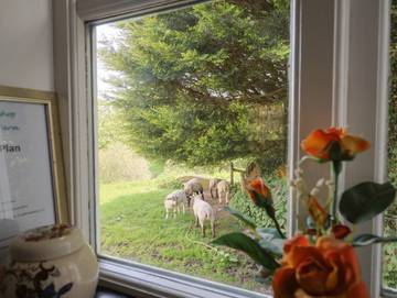 Apartment for 2 People in Devon, South West England, Photo 2