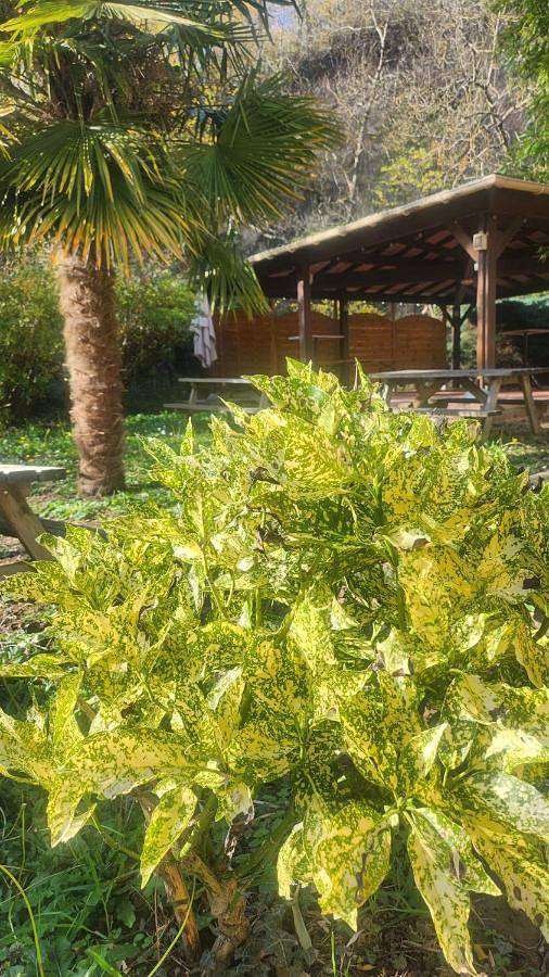 Hôtel pour 2 personnes, avec jardin et piscine, animaux acceptés à Saint-Genis-les-Ollières