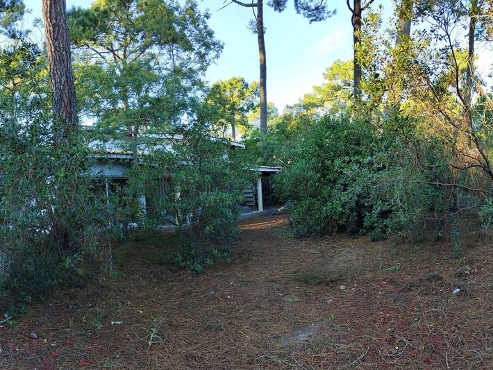 Villa pour 8 personnes, avec terrasse et jardin au Cap Ferret - 2