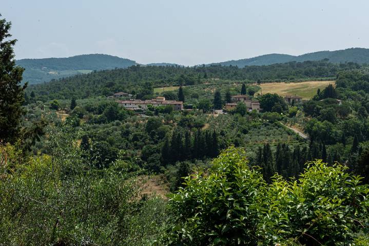 Camera 'Ulivo Con Giardino' con vista sulle montagne, Wi-Fi e aria condizionata in Lastra a Signa, Provincia di Prato