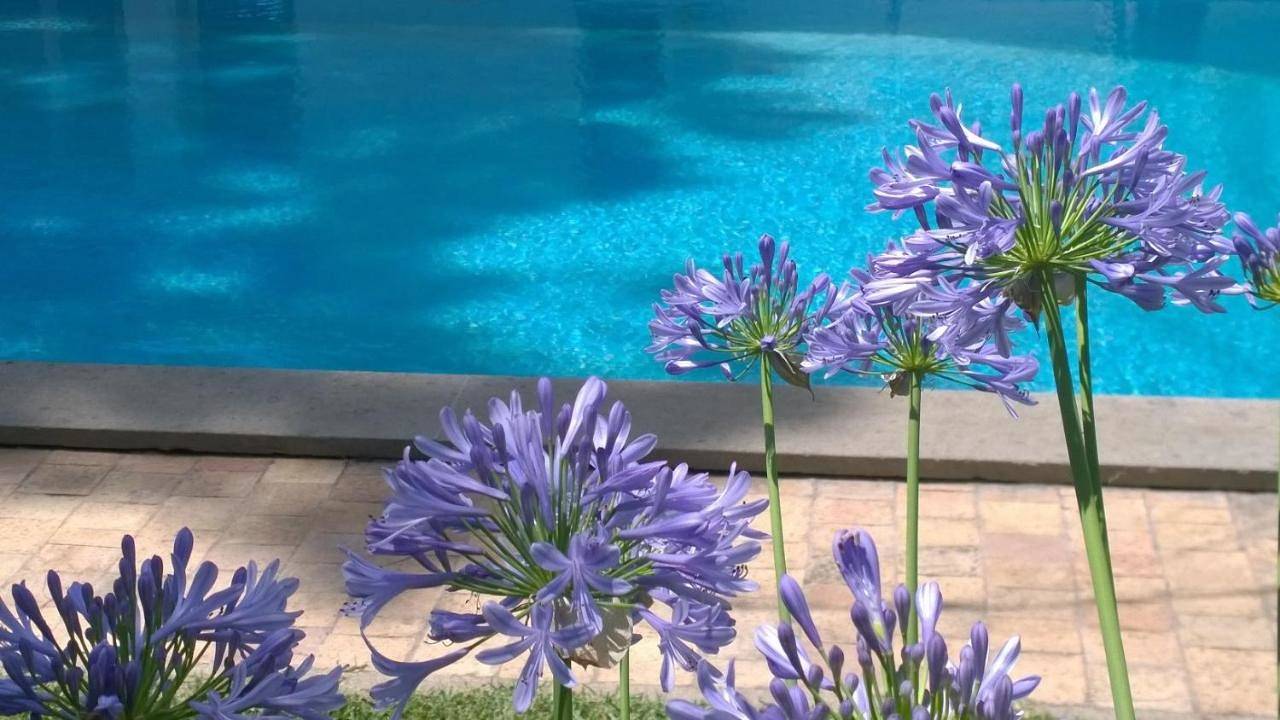 Buba Bnb Superior in Anzio, Provincia di Roma