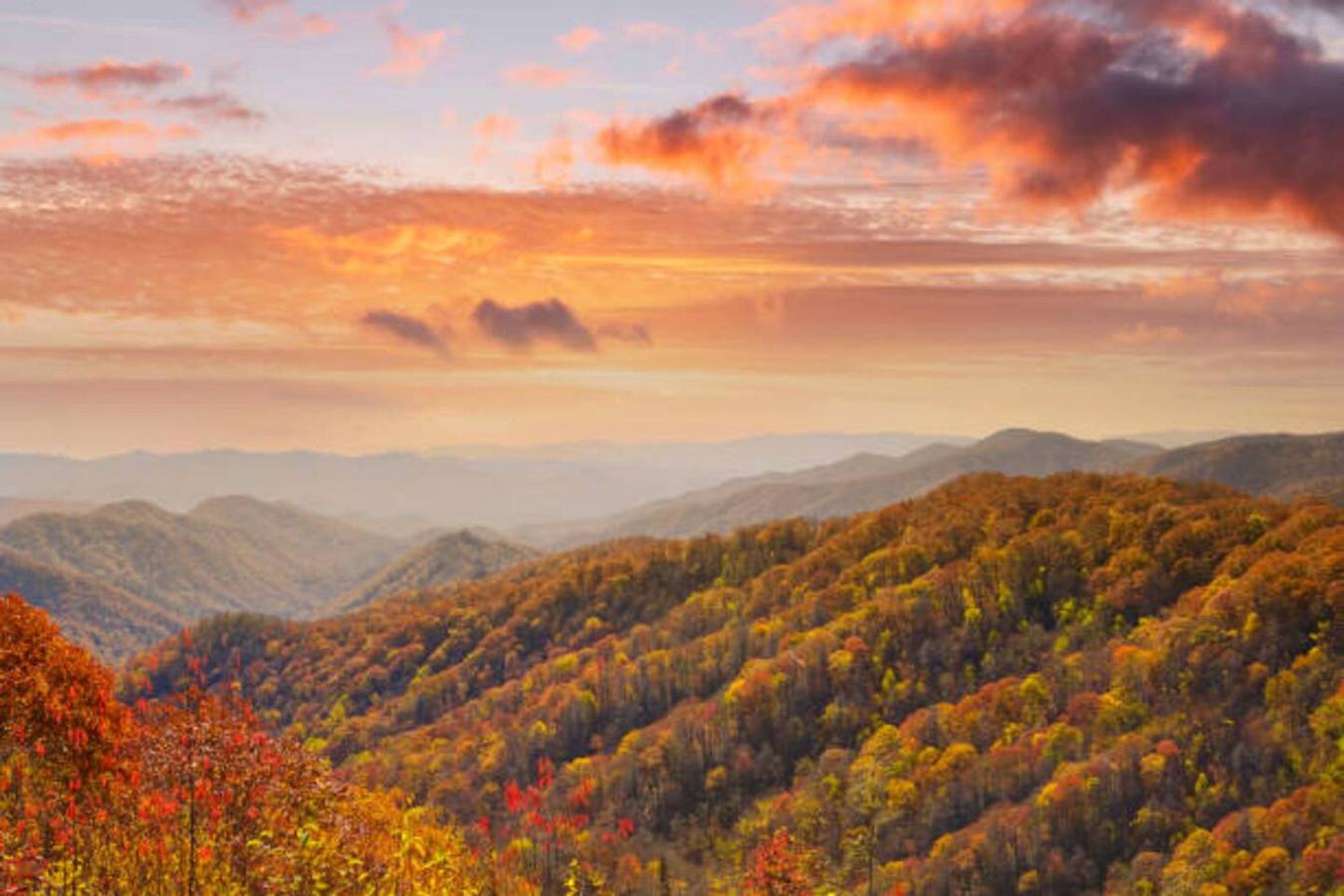 Dog Friendly, Romantic Mtn Getaway Hot Tub Pool  in Gatlinburg, Sevier County