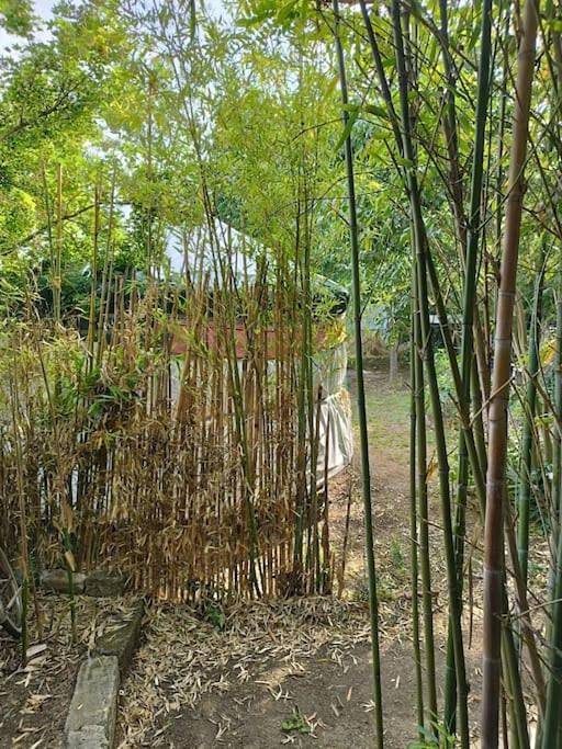 Tente pour 2 personnes, avec terrasse et jardin dans l' Hérault - 3