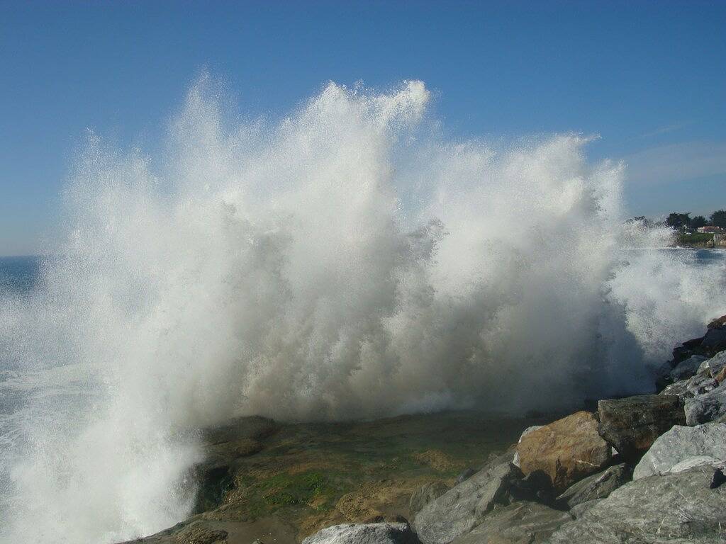 West Cliff Hideaway ~ 1 Bdrm, in der Nähe von Meer, Wäscherei, Küche, Grill, volle Ausstattung! in Santa Cruz, Santa Cruz County