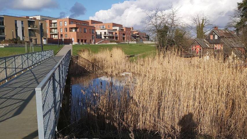 Gîte pour 6 personnes, avec vue et balcon dans Louvain-la-Neuve - 4