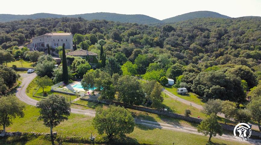 Les orchidées in Région de Lodève