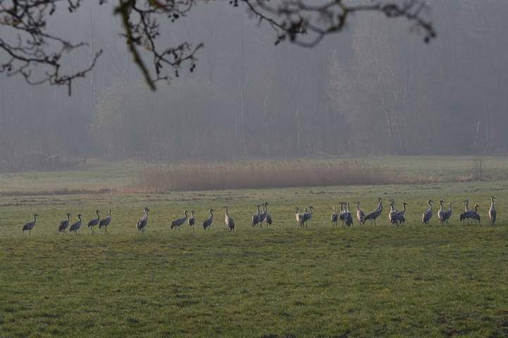 Bauernhof für 4 Personen, mit Balkon in Graal-Müritz - 2