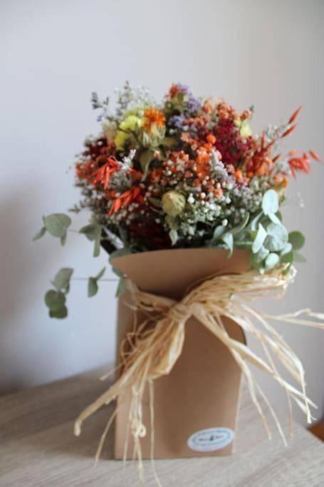 Gîte pour 6 personnes, avec balcon et vue à Arbúcies - 4