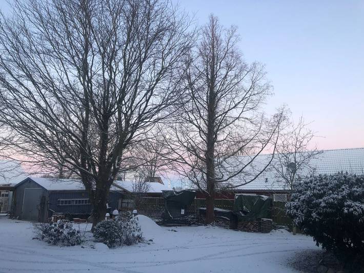 Hotel für 2 Personen, mit Garten in Langenhorn - 4