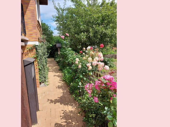 Ferienwohnung für 2 Personen, mit Garten in Rostock und Umgebung - 3