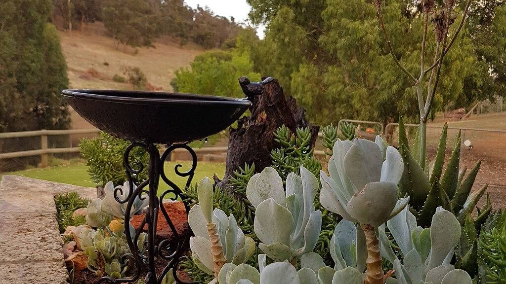 Sola Gratia Country Stay - Swan Valley Farm Stay in Perth, Western Australia