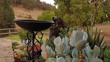 Holiday Home for 10 People in Perth, Western Australia, Photo 2