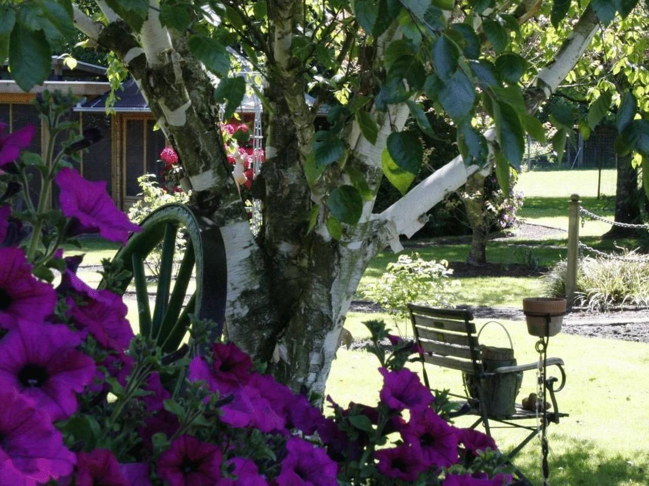 Ganze Wohnung, Langeiig in Wiesmoor, Nordseeküste