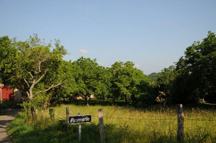 Chambre d’hôte pour 2 personnes, avec jardin, animaux acceptés en Nouvelle-Aquitaine - 4